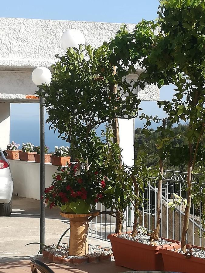 Il Covo Delle Civette Bed and Breakfast Vietri Buitenkant foto