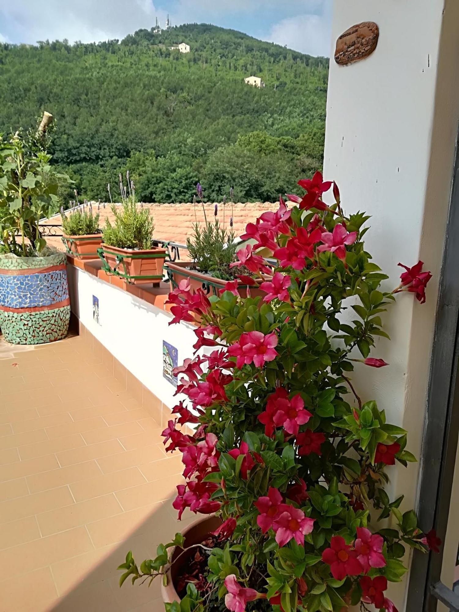 Il Covo Delle Civette Bed and Breakfast Vietri Buitenkant foto