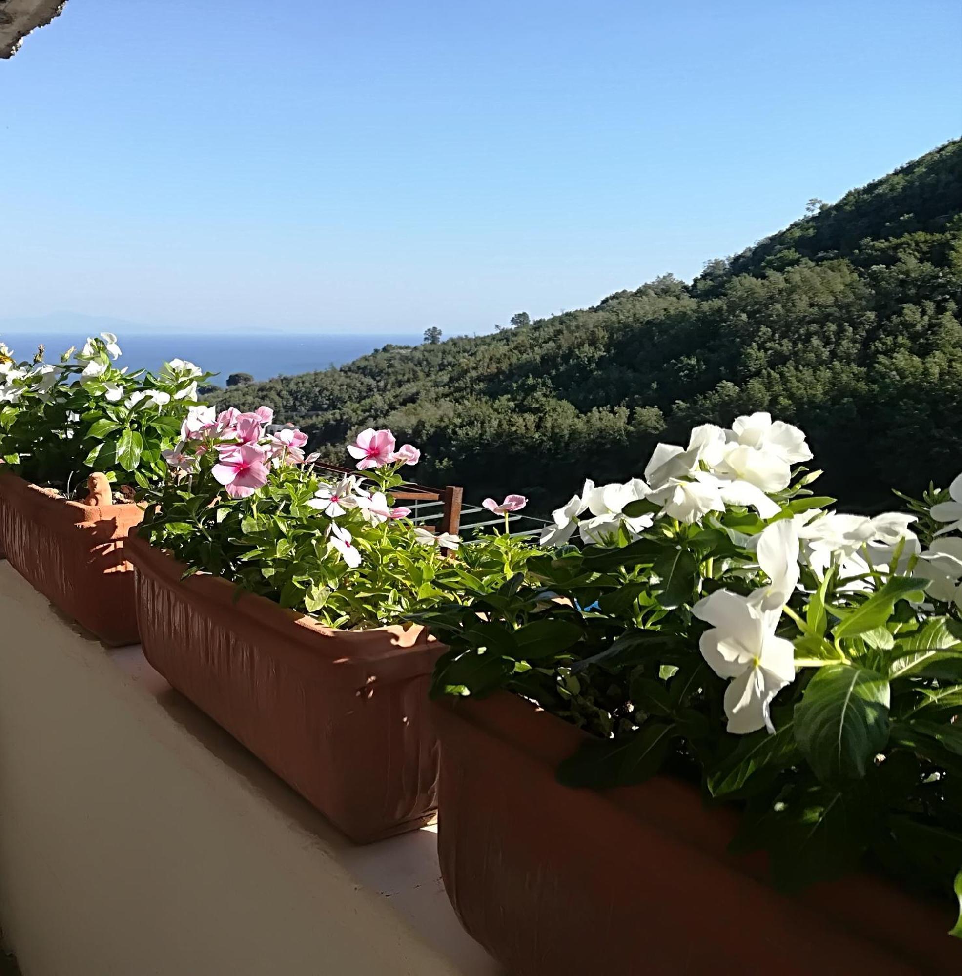 Il Covo Delle Civette Bed and Breakfast Vietri Buitenkant foto